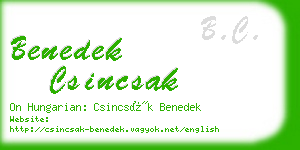 benedek csincsak business card